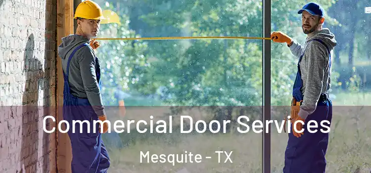 Commercial Door Services Mesquite - TX