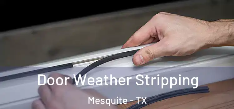  Door Weather Stripping Mesquite - TX