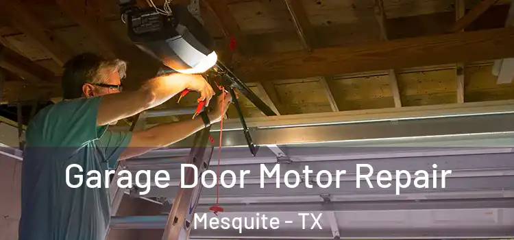  Garage Door Motor Repair Mesquite - TX