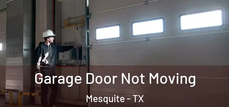  Garage Door Not Moving Mesquite - TX