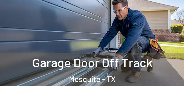  Garage Door Off Track Mesquite - TX