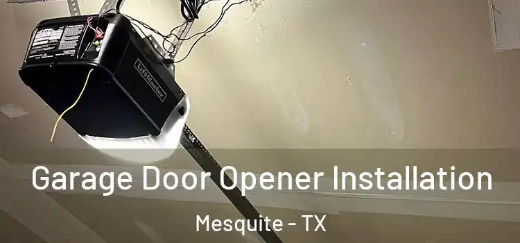  Garage Door Opener Installation Mesquite - TX