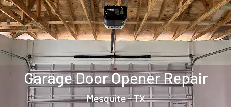  Garage Door Opener Repair Mesquite - TX