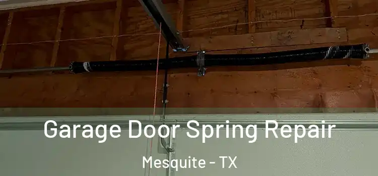  Garage Door Spring Repair Mesquite - TX