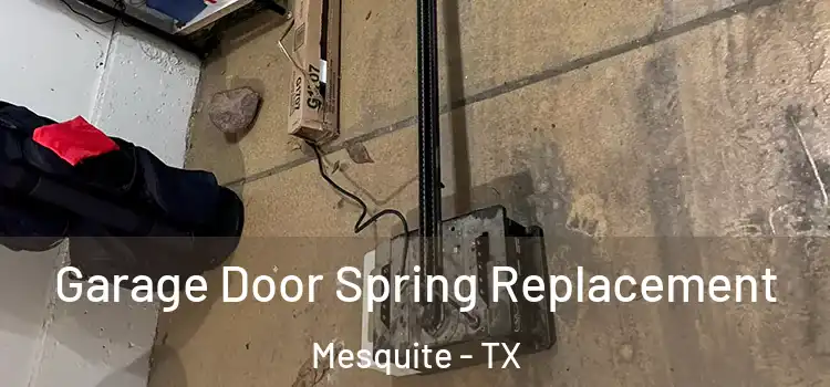  Garage Door Spring Replacement Mesquite - TX