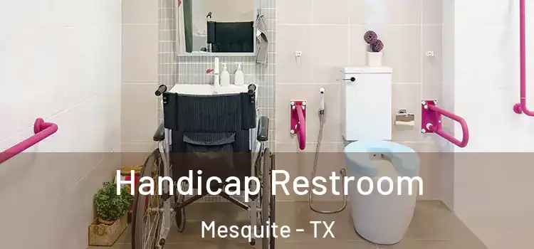 Handicap Restroom Mesquite - TX