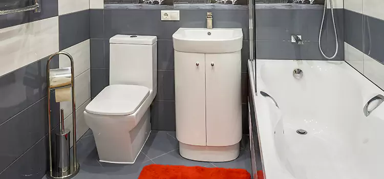 Hansgrohe Shaving Mirror Mesquite