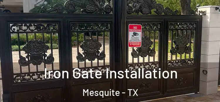 Iron Gate Installation Mesquite - TX