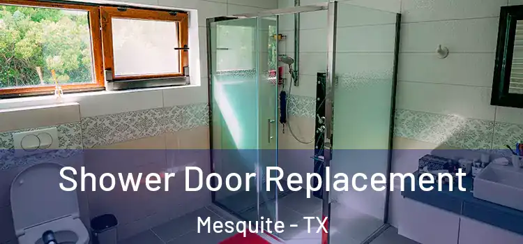  Shower Door Replacement Mesquite - TX