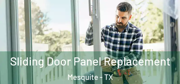  Sliding Door Panel Replacement Mesquite - TX